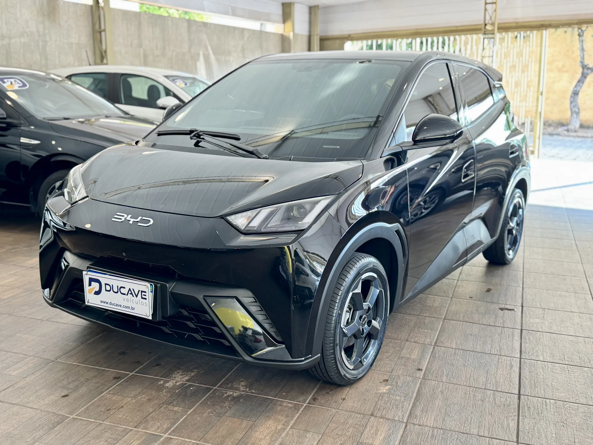 BYD Dolphin Mini 2025 — foto 2